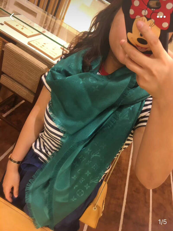 Louis Vuitton Scarf LVC00599